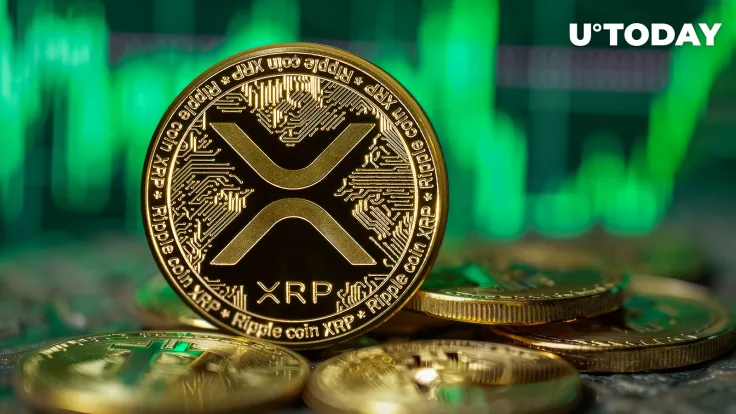 XRP Skyrockets 143% in Key Metric as Price Rallies