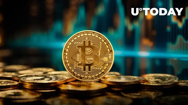 Bitcoin Dominance Hits Record High Amid Market Sell-Off