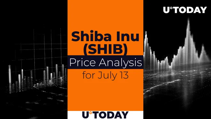 SHIB Price Prediction for July 13