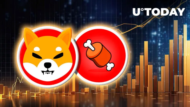 Shibarium Bridge Sentiment Sends BONE up 6%