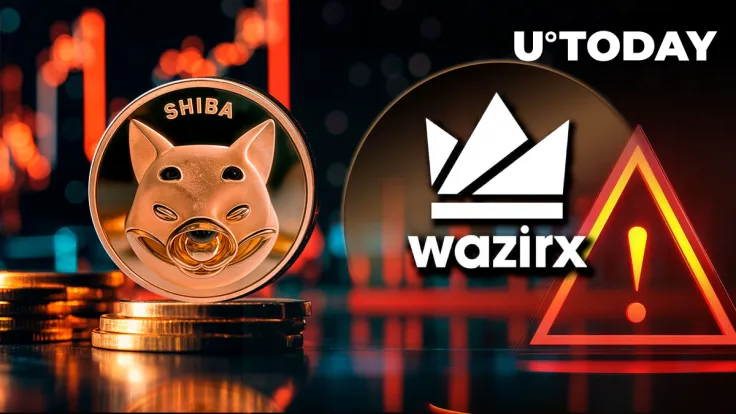 Shiba Inu (SHIB) Price Takes Painful Dip Amid Major India Crypto Hack