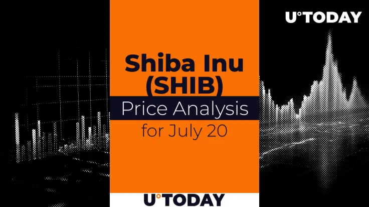 SHIB Price Prediction for July 20