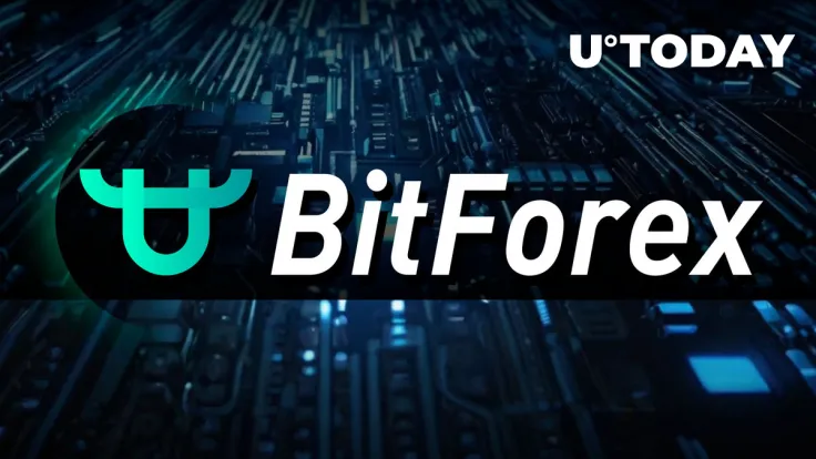 BitForex Team Finally Breaks Silence After Five Months of Shutdown: What's Next?