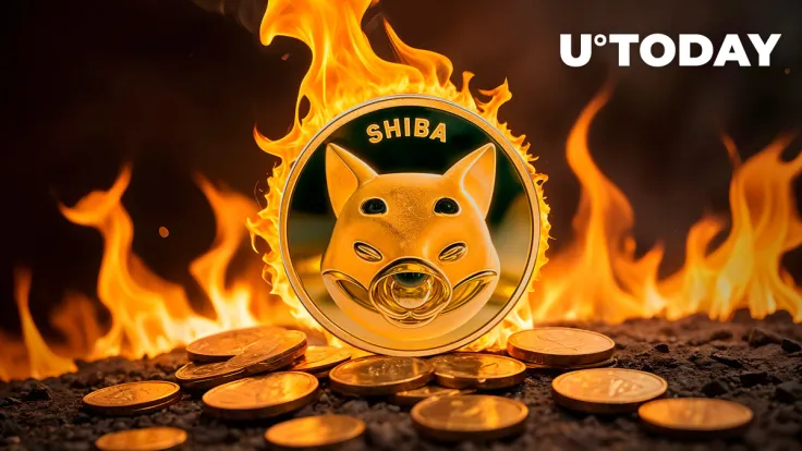 SHIB Burns Soar out of Red in Single Hour, With Massive SHIB Lump Scorched