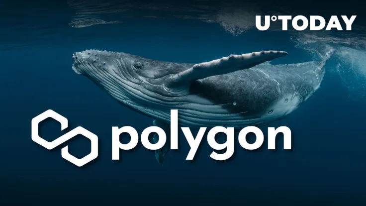 Polygon (MATIC) Skyrockets 743% in Whale Activity Amid Ethereum ETF Buzz