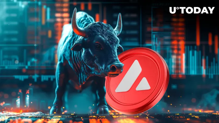 Is Avalanche (AVAX) Ready for Bull Run?