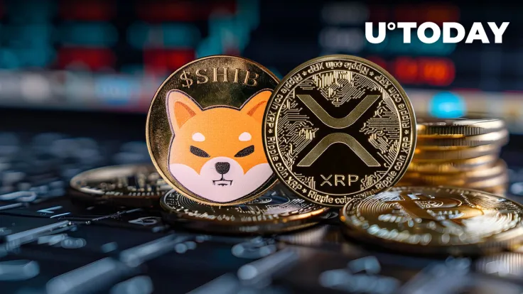 XRP and Shiba Inu (SHIB) Holders Suffer, But Here's Why It's Bullish