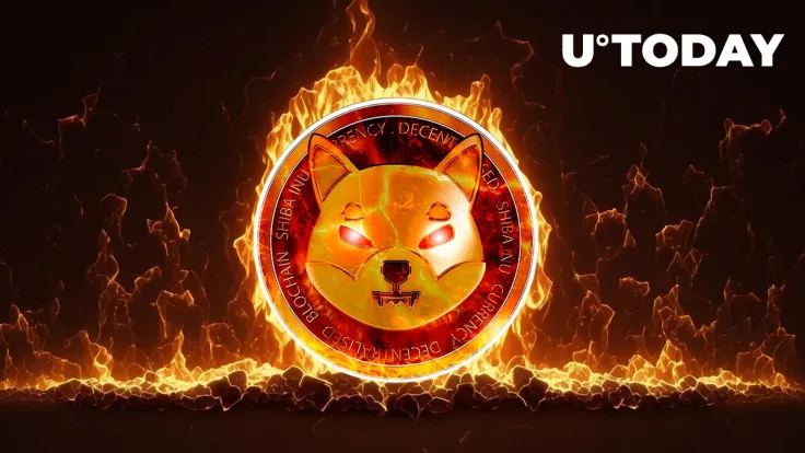 Shiba Inu Burn Rate Jumps 225% as SHIB Enters Epic Rebound Mode