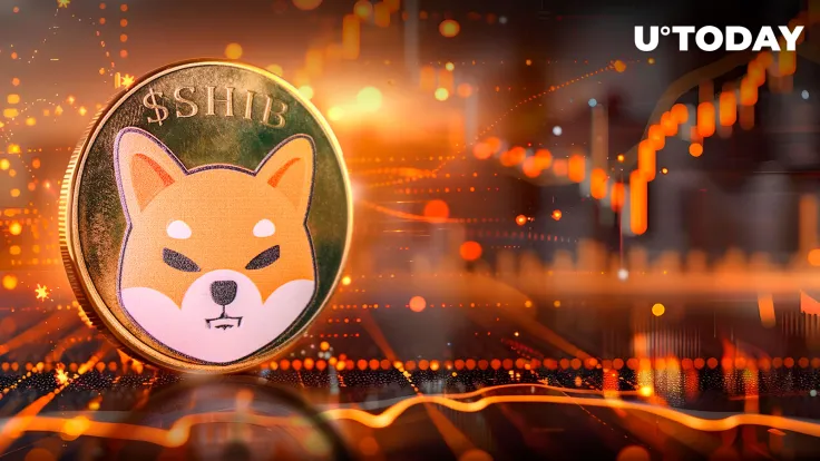 Shiba Inu (SHIB) Skyrockets 8,596% in Major Metric - Here's Why