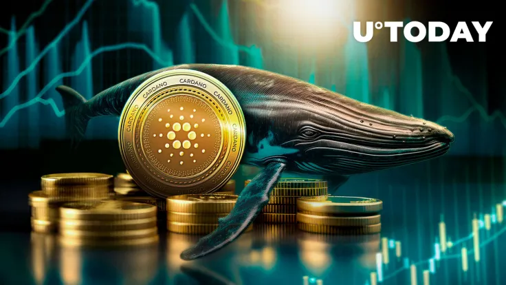 Cardano (ADA) Skyrockets 1,218% in Whale Inflows, What's Going On?