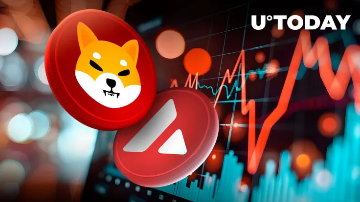 Shiba Inu (SHIB) Rockets Ahead of AVAX With 10% Price Jump