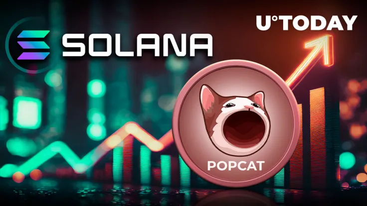 Solana Cat Meme Coin Surges 117%, but There Is Something You Need to Know