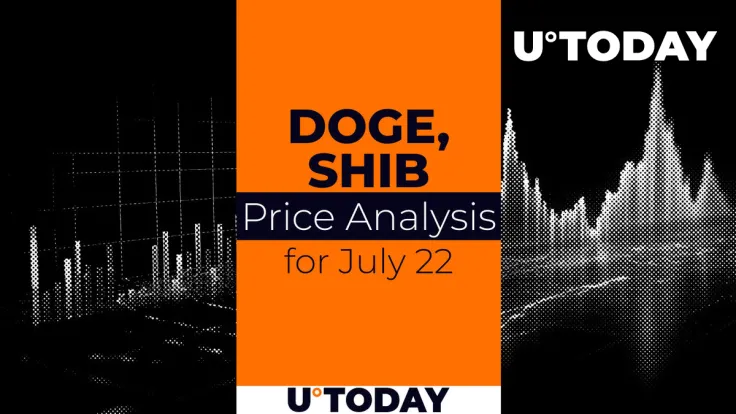 DOGE and SHIB Prediction for July 22