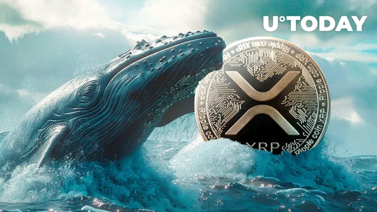 140 Million XRP Acquired by Mega Whales in Bullish Rush: Details