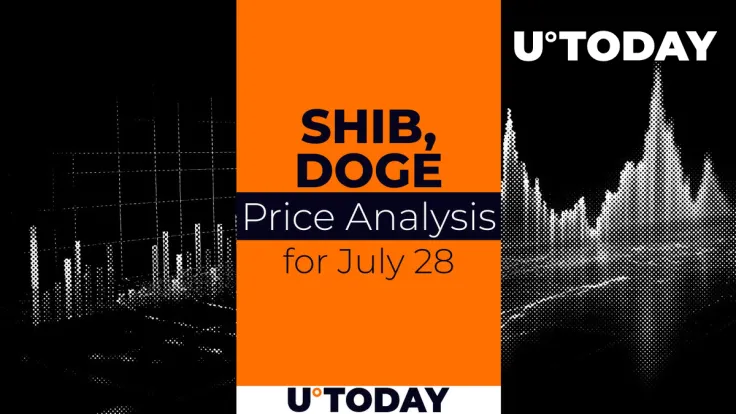 SHIB and DOGE Prediction for July 28