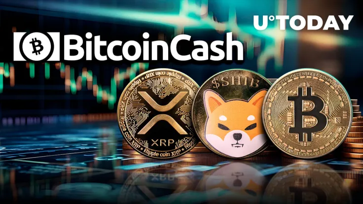 BTC, XRP and SHIB Outshined By 14% Bitcoin Cash (BCH) Surge