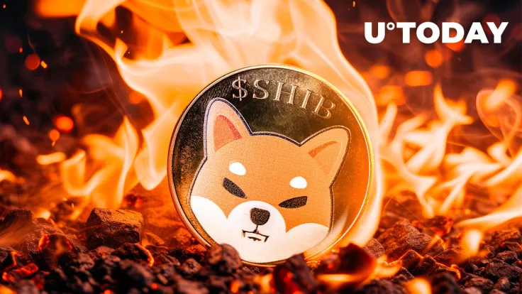Major SHIB Metric Soars 7,334% As Team Announces Crucial Update Coming This Week