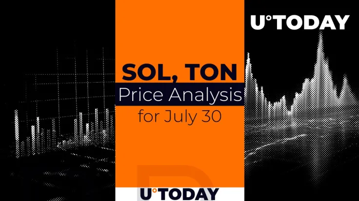 SOL and TON Prediction for July 30