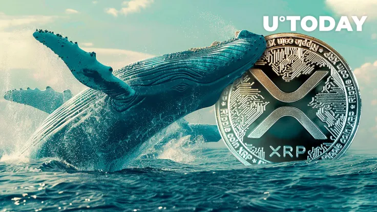 Extreme Surge in XRP Whales Spotted