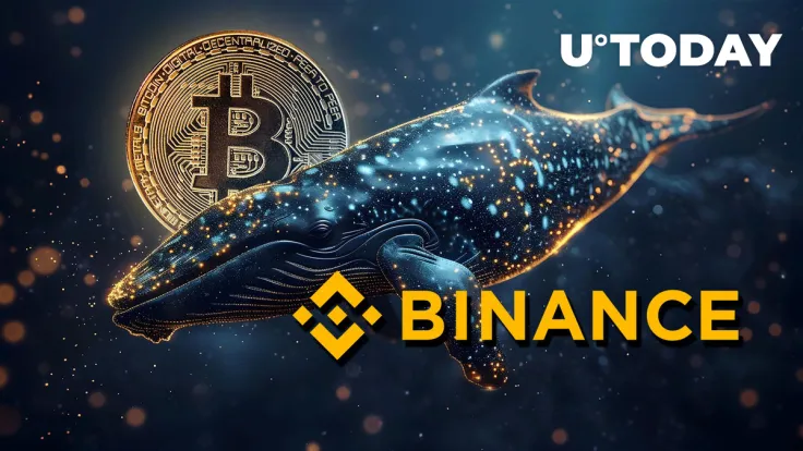4,164 BTC Shifted by Enigmatic Whale Leaves Binance Stunned