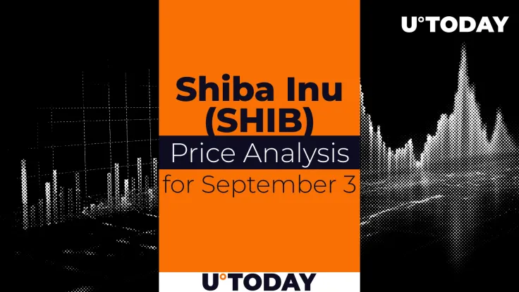  SHIB Prediction for September 3