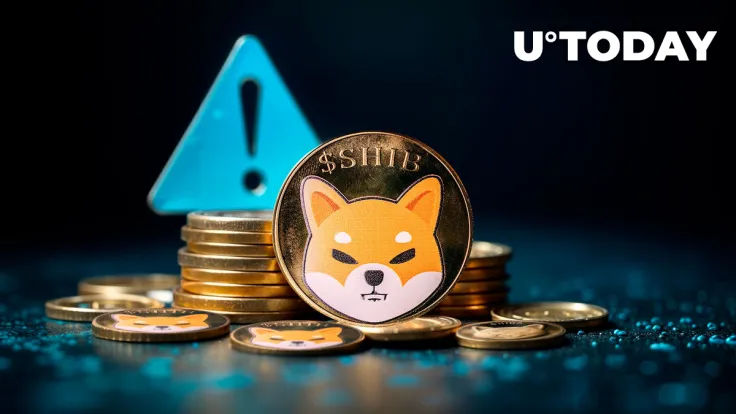 Crucial Pump and Dump Warning Issued to Shiba Inu Community