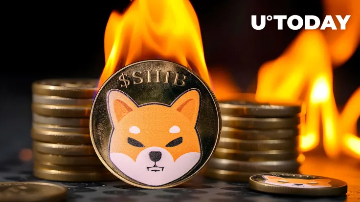 14 Million Shiba Inu Torched as Burn Rate Jumps 404%
