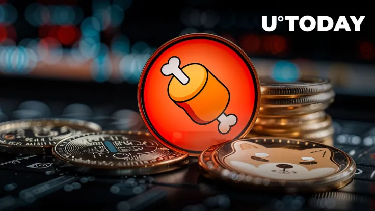 Fundamental BONE Statement Issued by SHIB Team