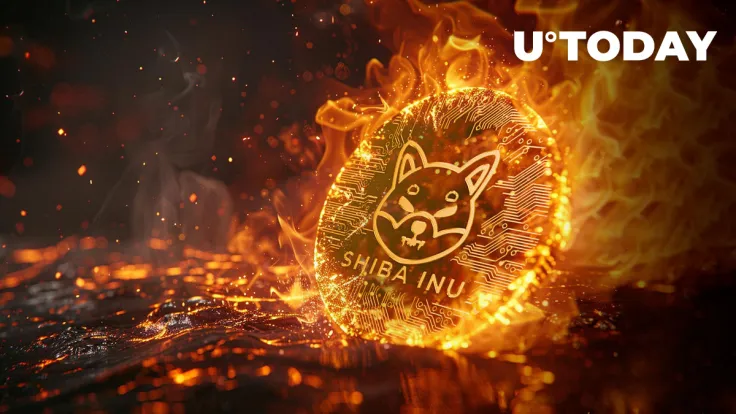 SHIB Burns Skyrocket 1,664% Thanks to Big Whale — 250 Million SHIB Gone