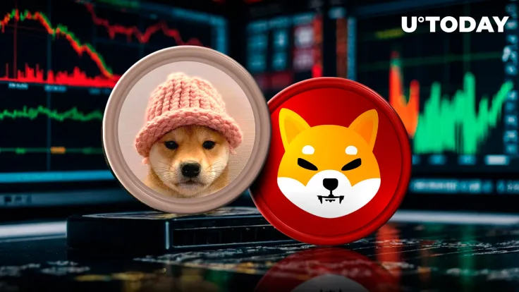 SHIB and WIF Among Worst-Performing Meme Coins