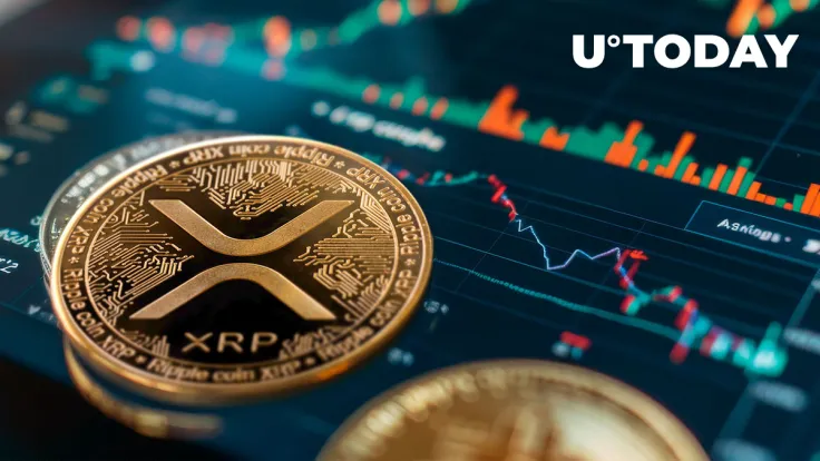 XRP May Stun Market Bears If History Favors Its Rebound