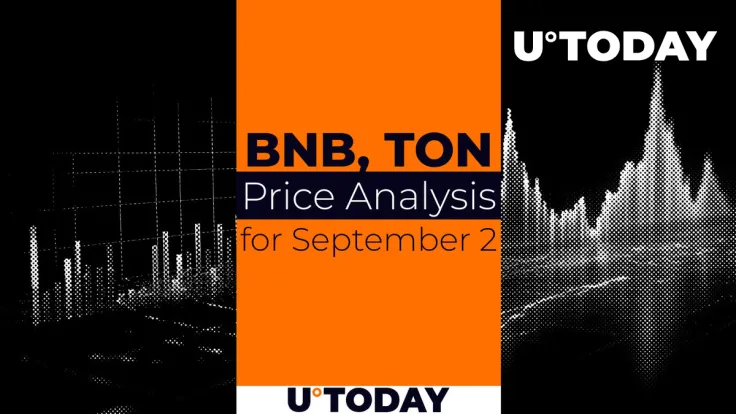 BNB and TON Prediction for September 2
