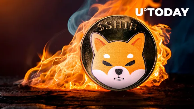 Shiba Inu (SHIB) Burn Rate Skyrockets 8,193%, Price Lifts Off