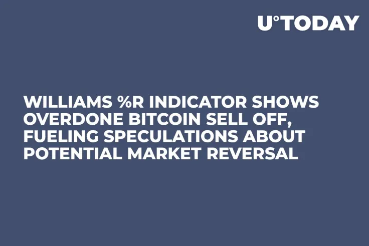 Williams %R Indicator Shows Overdone Bitcoin Sell Off, Fueling Speculations About Potential Market Reversal 