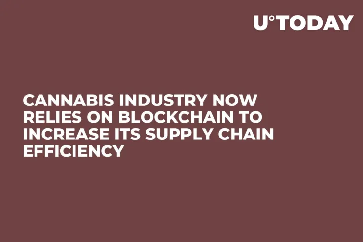 Cannabis Industry Now Relies on Blockchain to Increase Its Supply Chain Efficiency  