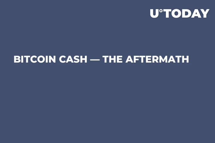 Bitcoin Cash — The Aftermath