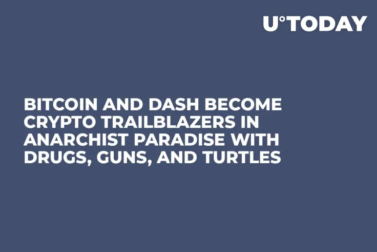 Bitcoin and Dash Become Crypto Trailblazers in Anarchist Paradise with Drugs, Guns, and Turtles  