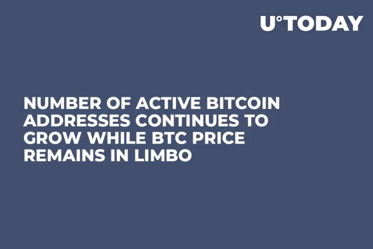 Number of Active Bitcoin Addresses Continues to Grow While BTC Price Remains in Limbo