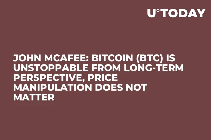 John McAfee: Bitcoin (BTC) Is Unstoppable from Long-Term Perspective, Price Manipulation Does Not Matter
