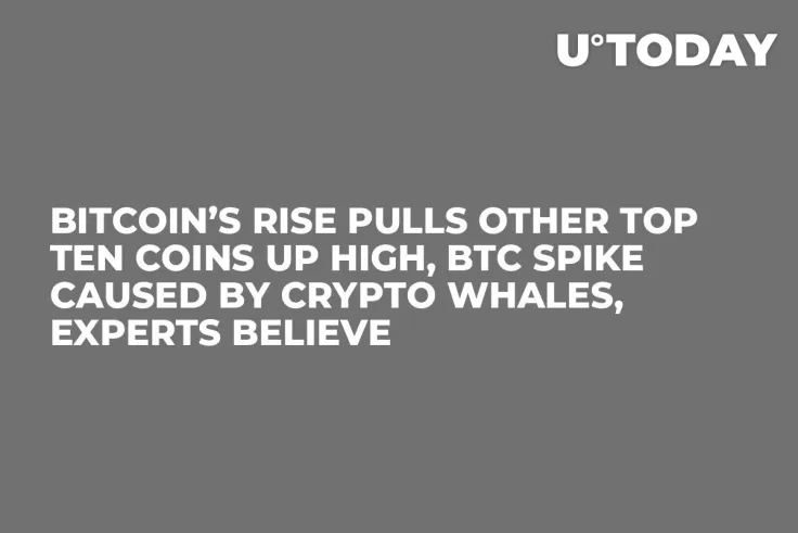 Bitcoin’s Rise Pulls Other Top Ten Coins Up High, BTC Spike Caused by Crypto Whales, Experts Believe