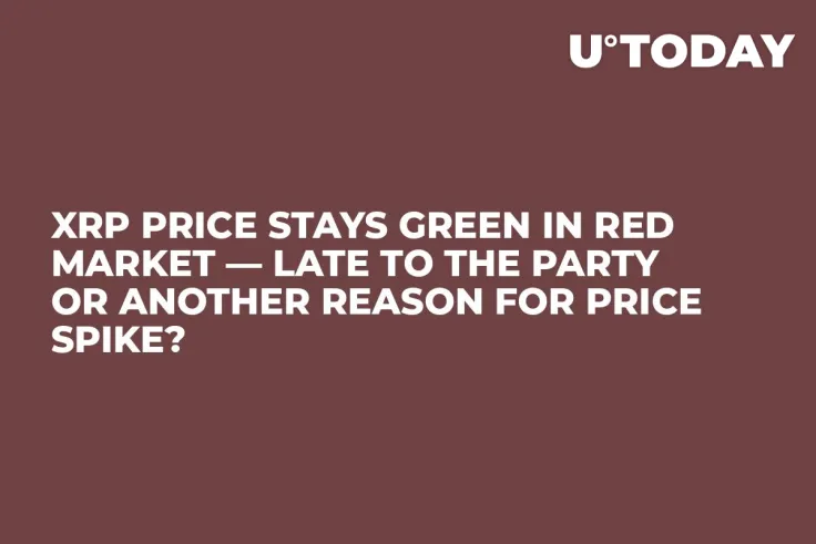 XRP Price Stays Green in Red Market — Late to the Party or Another Reason for Price Spike?