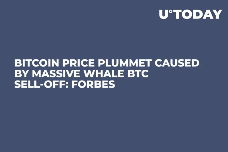 Bitcoin Price Plummet Caused by Massive Whale BTC Sell-Off: Forbes