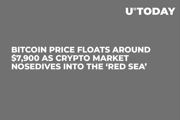 Bitcoin Price Floats around $7,900 as Crypto Market Nosedives into the ‘Red Sea’