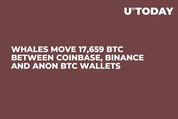 Whales Move 17,659 BTC Between Coinbase, Binance and Anon BTC Wallets