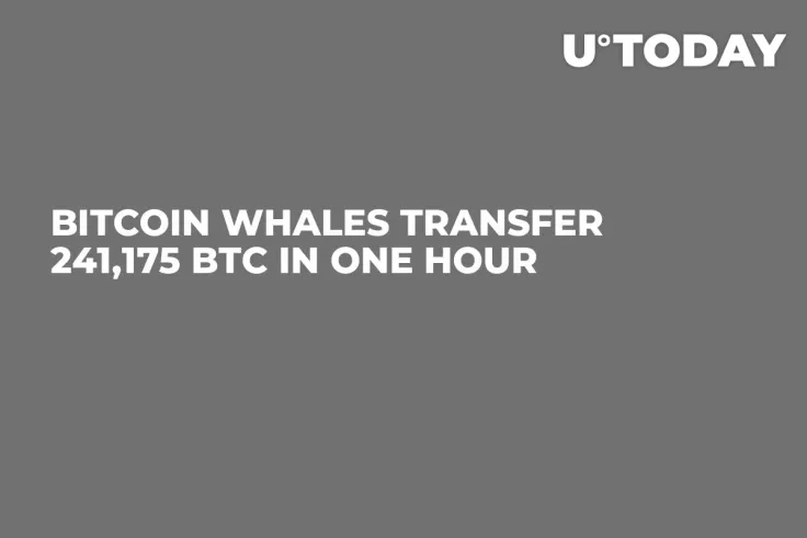 Bitcoin Whales Transfer 241,175 BTC in One Hour 