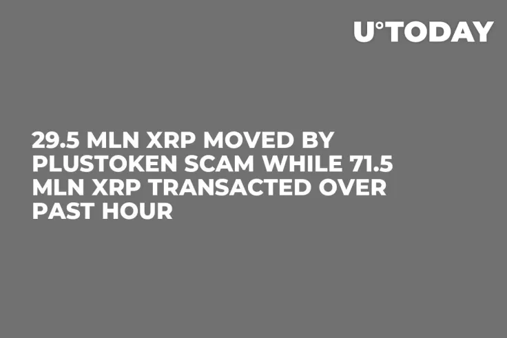 29.5 Mln XRP Moved by PlusToken Scam While 71.5 Mln XRP Transacted Over Past Hour