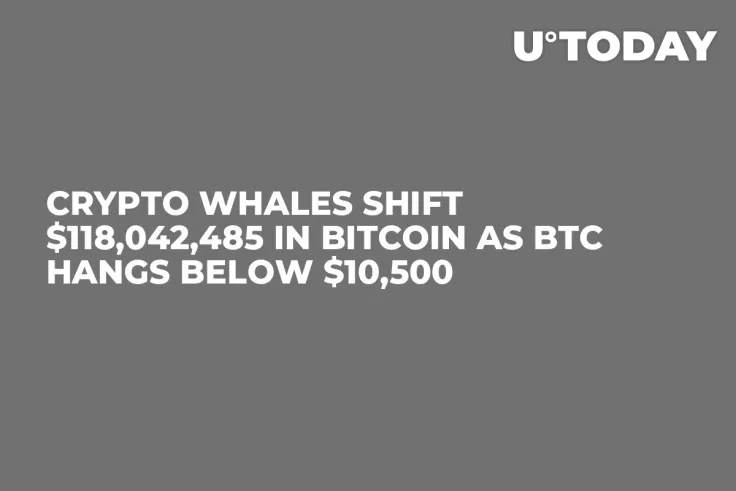Crypto Whales Shift $118,042,485 in Bitcoin as BTC Hangs Below $10,500
