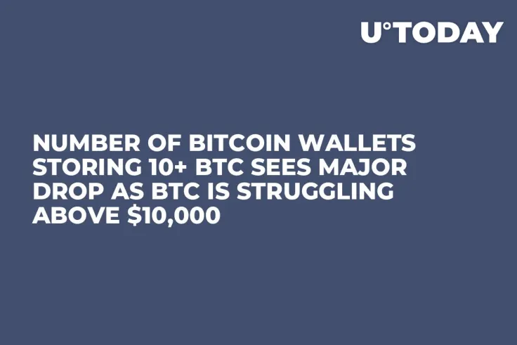 Number of Bitcoin Wallets Storing 10+ BTC Sees Major Drop as BTC Is Struggling Above $10,000