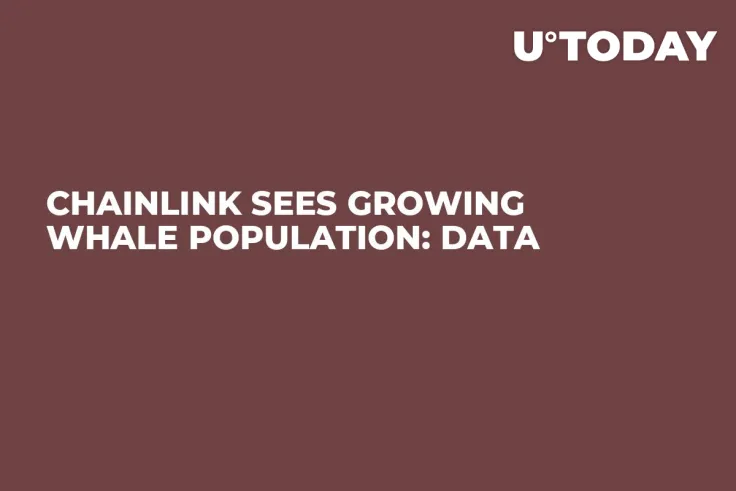 Chainlink Sees Growing Whale Population: Data