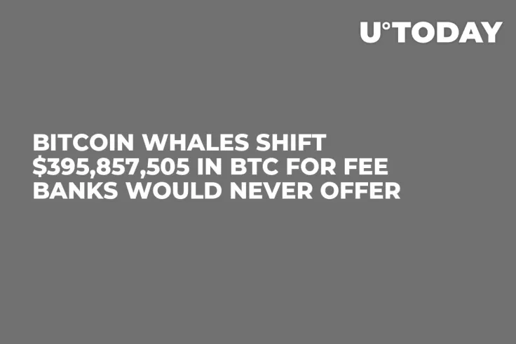 Bitcoin Whales Shift $395,857,505 in BTC for Fee Banks Would Never Offer